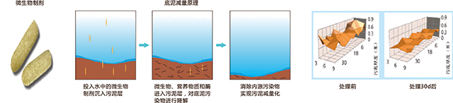1542005707944669.jpg 006.jpg