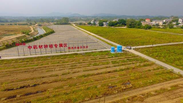DJI_0063-1.jpg