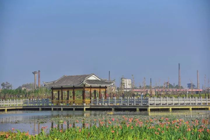 1542677980953714.jpg 640 (10)_结果-6ca82c51-14cc-4a29-aa0f-45374a3a99ba.jpg