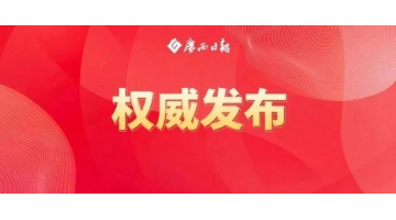 陈刚：坚持标本兼治聚力排查整治守牢生态底线，扎实推动有色金属产业高质量发展